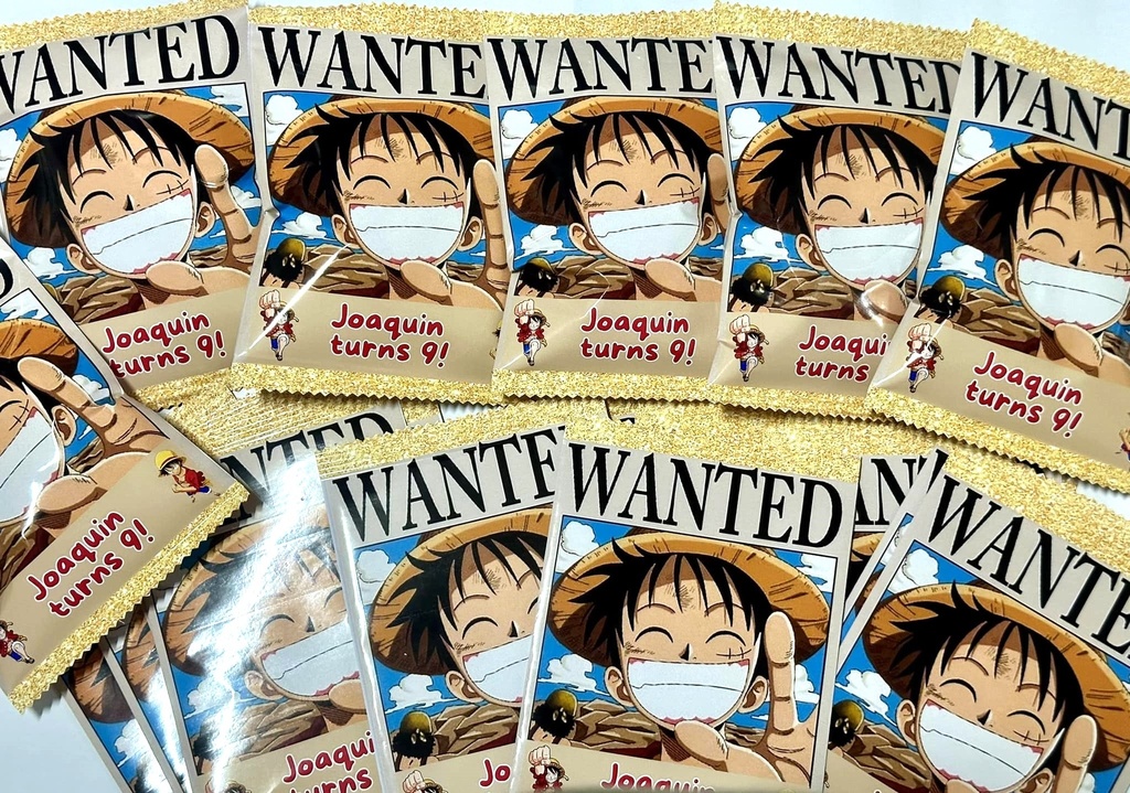 Chip Bags Set of 10