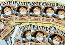 Chip Bags Set of 10